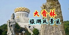 插穴穴视屏中国浙江-绍兴大香林旅游风景区